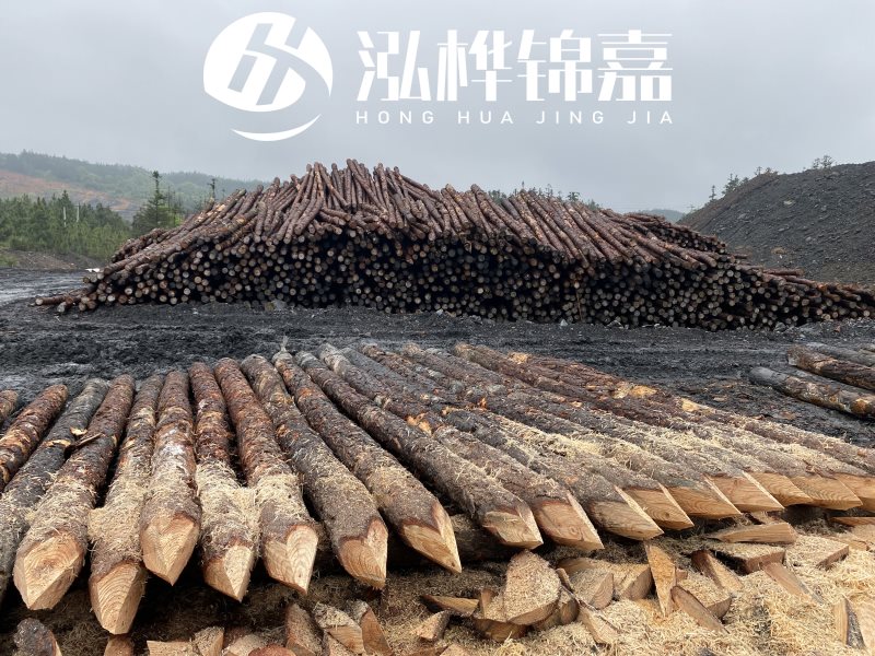 6米長松木樁有哪些作用，多少錢一根？