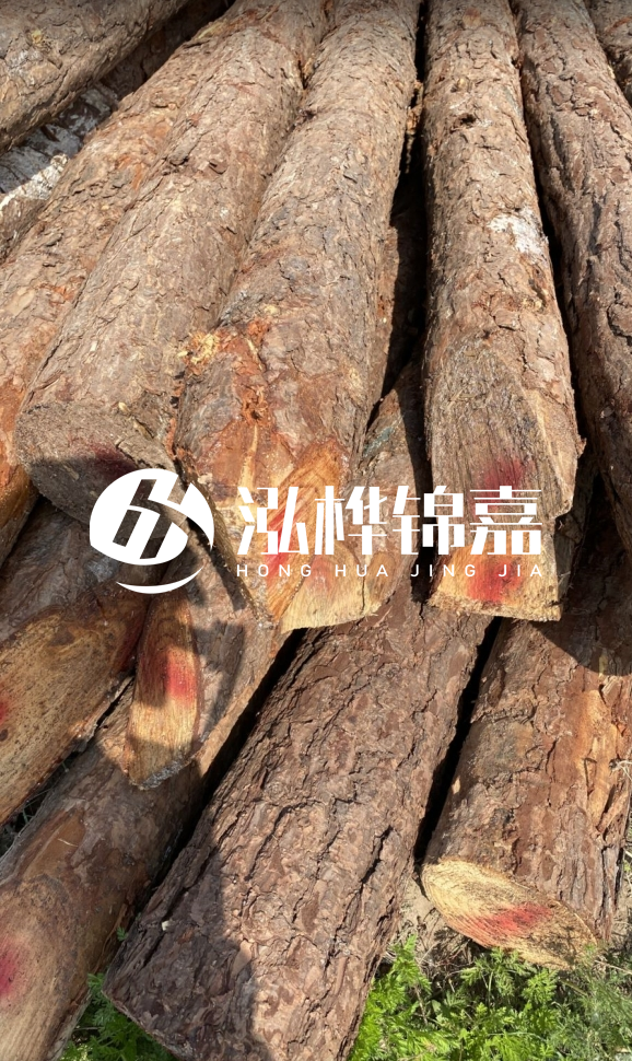 <strong>松木樁和杉木樁的用途區(qū)別？哪個(gè)更適合打樁用？</strong>