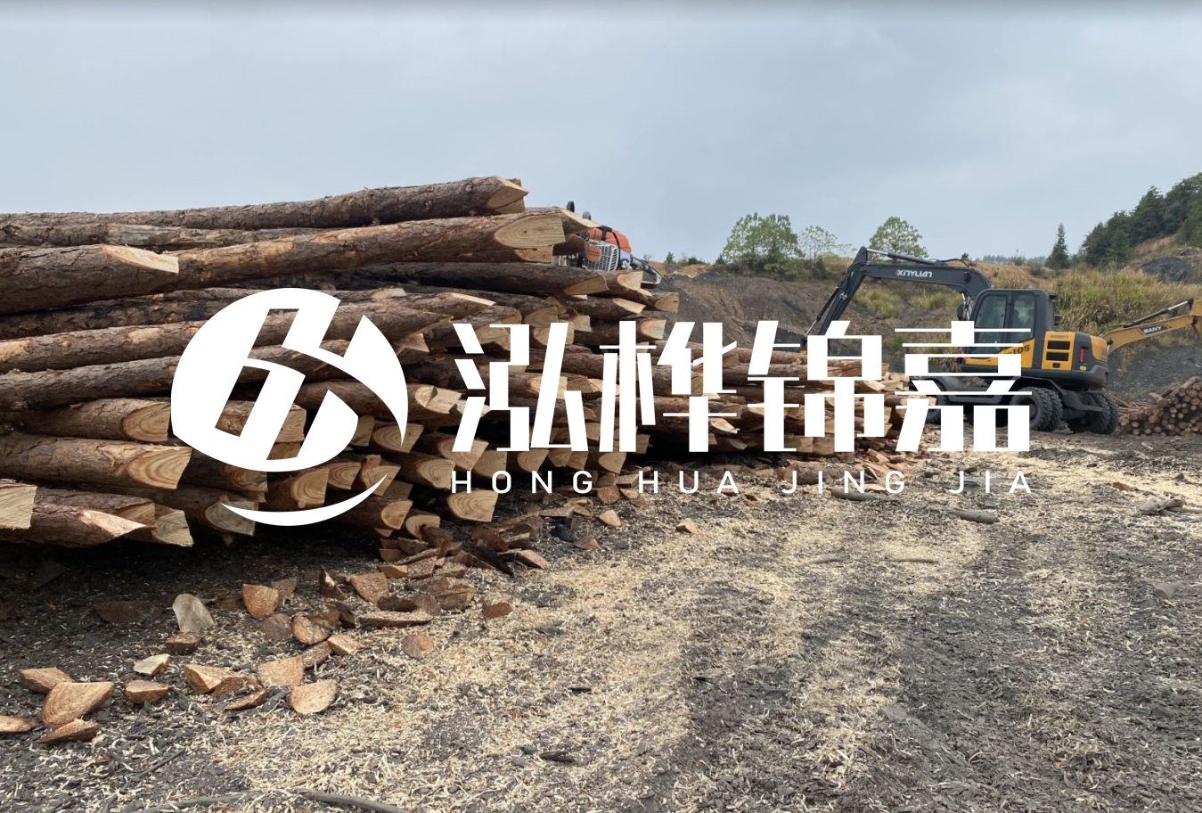 松木樁尾徑是什么意思？