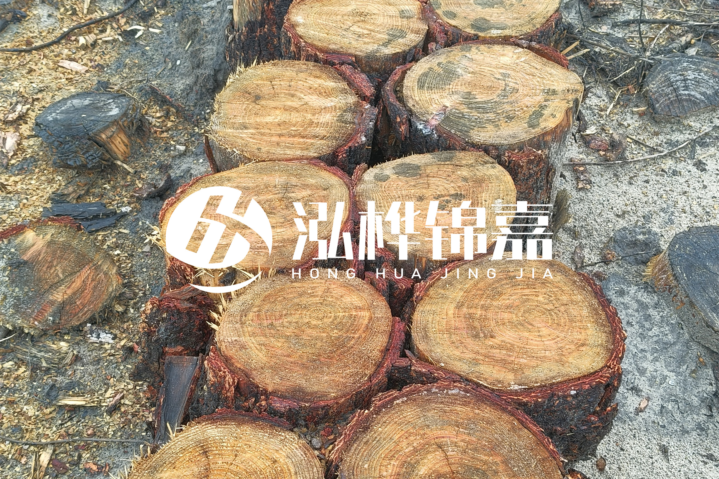 浙江臺州有清淤的公司嗎？浙江臺州有清淤施工隊嗎？