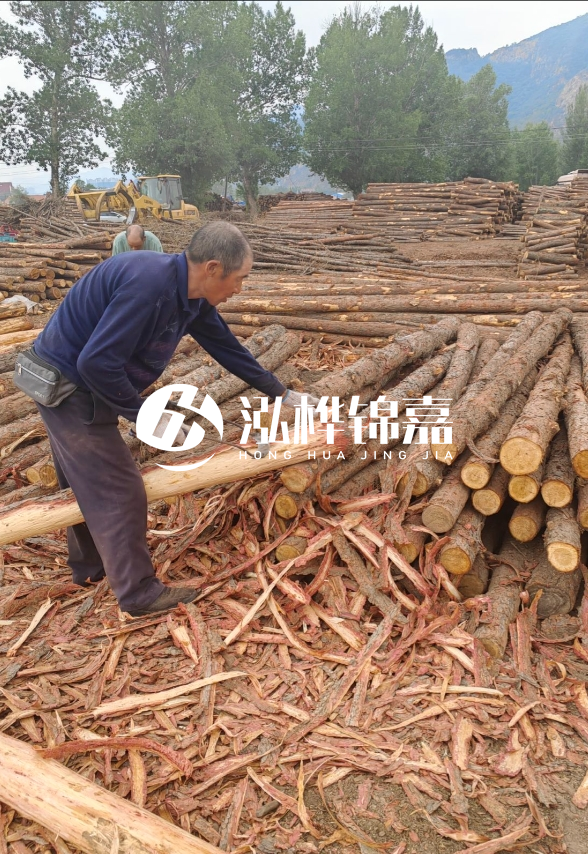 九江河底清理淤泥施工隊-河道清淤85元一方能干嗎？