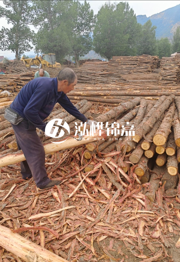 東營河道清淤專業(yè)施工隊-不同型號挖機清淤能力對比？