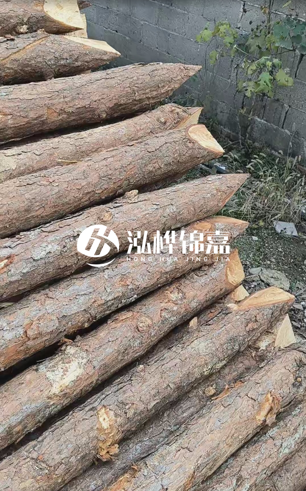 松木樁哪里能大量供應(yīng)？4米20公分松木樁價格是多少？
