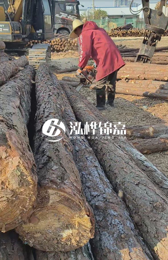 長沙打樁木批發(fā)廠家在哪里？聯(lián)系方式是什么？