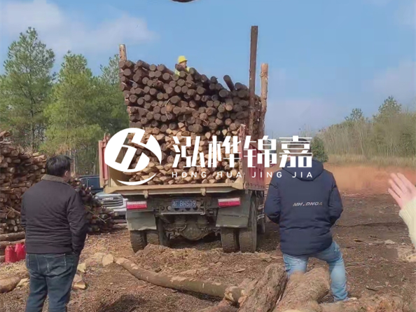 松木樁價格是按米算還是按根算？6米松木樁批發(fā)價每根多少錢？