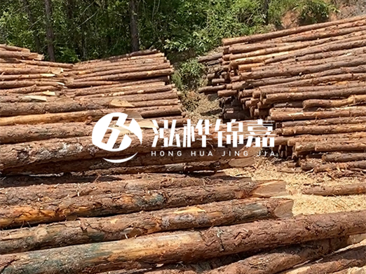 松木樁的運(yùn)輸費(fèi)用是否包含卸車費(fèi)？卸貨時(shí)需要注意哪些安全問題？
