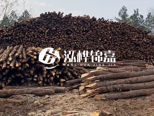 地基打木樁用什么木材 - 地基打木樁的能撐幾年？