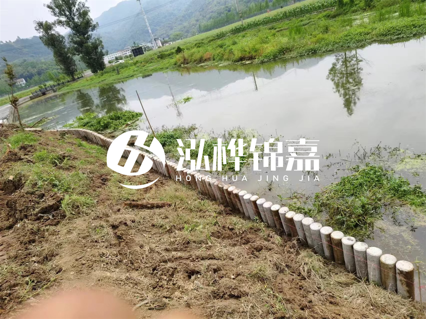 松木樁加固河道與水泥樁對(duì)比如何？哪一種更加適合您？