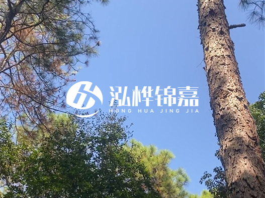松木樁廠家的供貨能力強不強-怎么才能聯(lián)系到松木樁廠家？