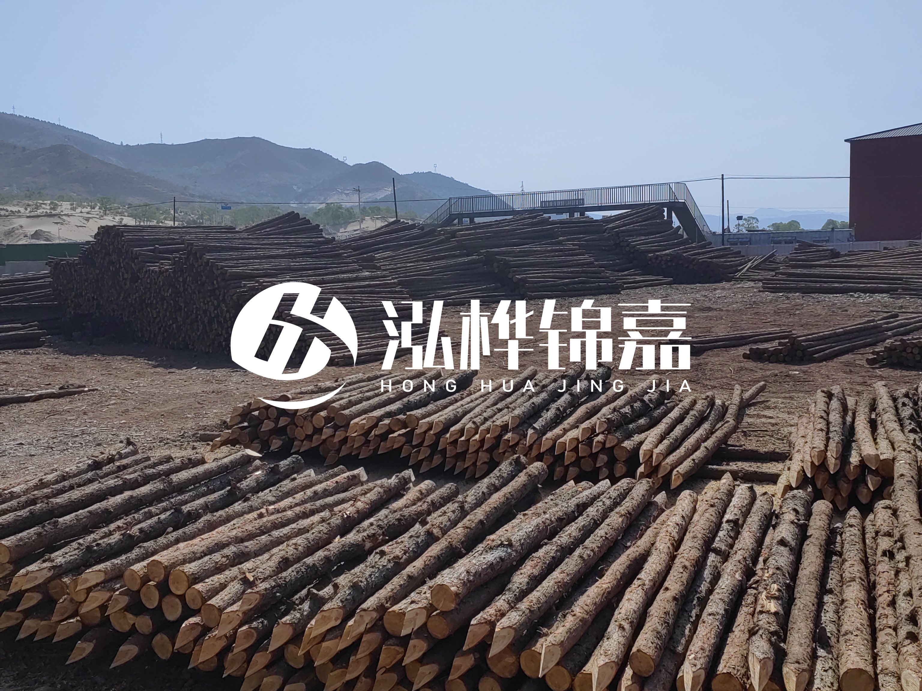 江蘇打樁木源頭廠家泓樺錦嘉-4米打樁木大頭14-16小頭一般多少？