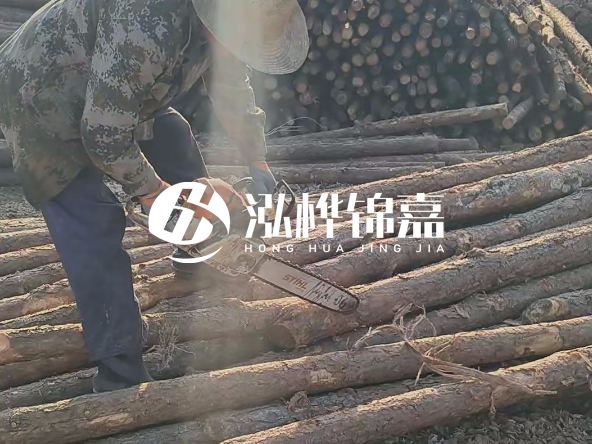 廣東打樁木源頭廠家泓樺錦嘉 - 如何選擇適合特定邊坡的松木樁？