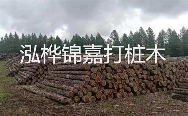 選擇紅磚護(hù)坡，打造獨(dú)特的美麗景觀