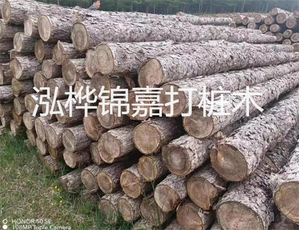 高效修補(bǔ)，保駕護(hù)航！水泥路面高強(qiáng)度修補(bǔ)料為您解決煩惱！