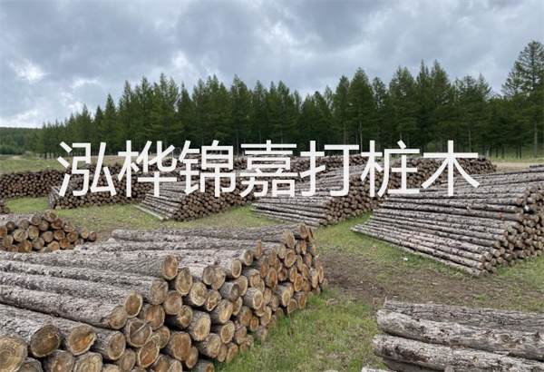 預(yù)制松木樁施工工藝：優(yōu)質(zhì)材料，高效快速，堅(jiān)固耐用