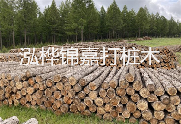 松木樁能施工嗎？探究視頻揭秘真相！