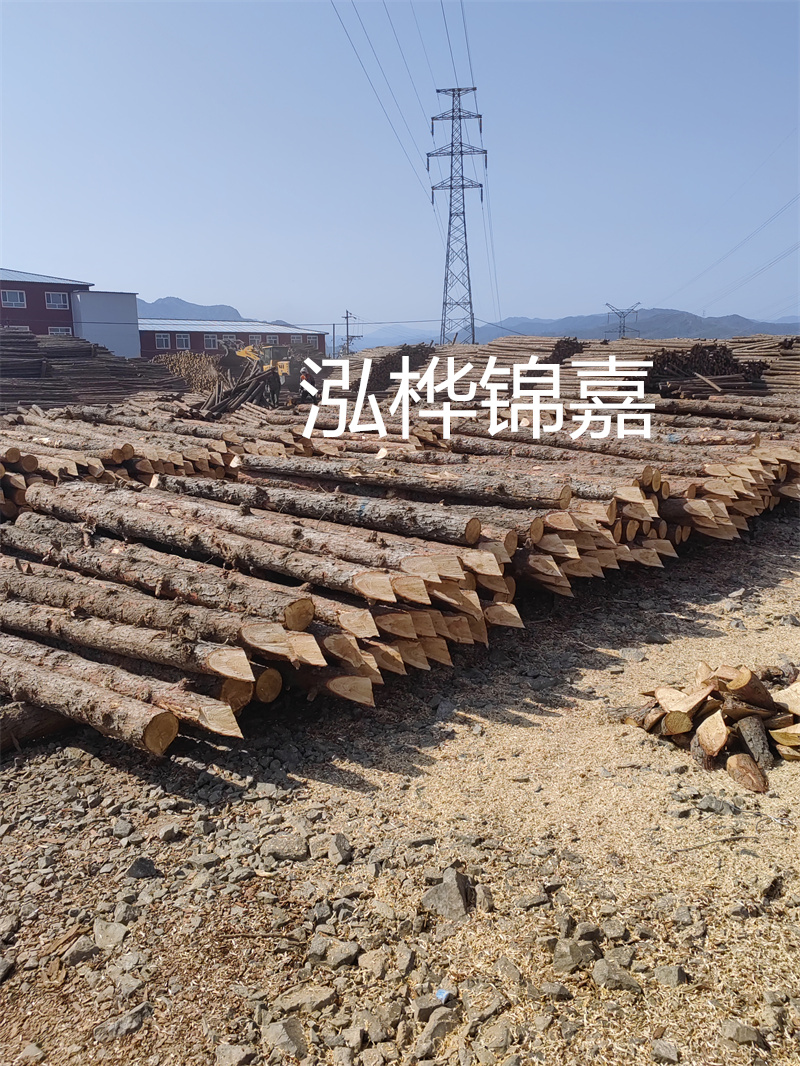 深入了解松木樁基礎(chǔ)施工單價(jià)，助力工程建設(shè)順利進(jìn)行！