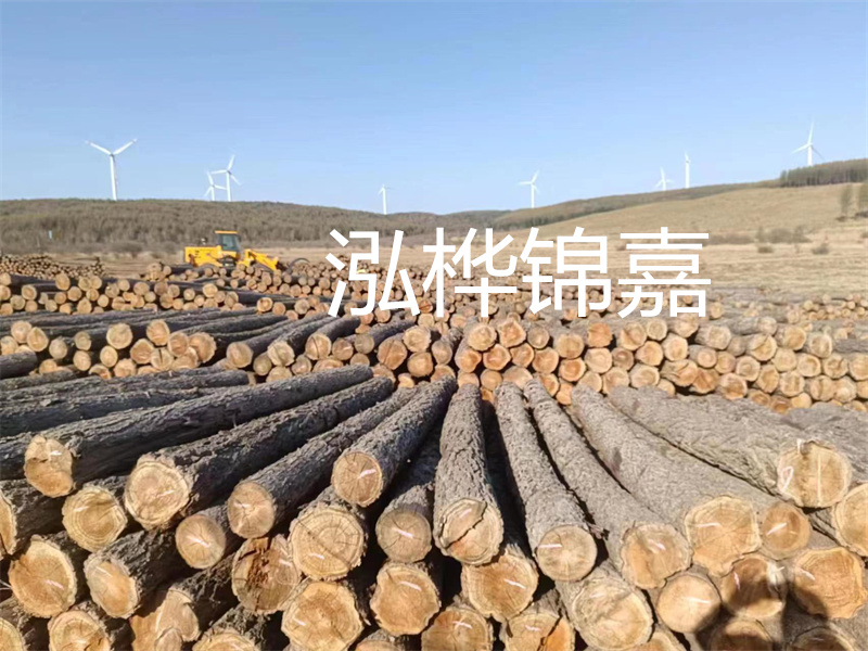 溫州松木樁施工廠家——為您打造堅(jiān)固穩(wěn)定的建筑基礎(chǔ)！