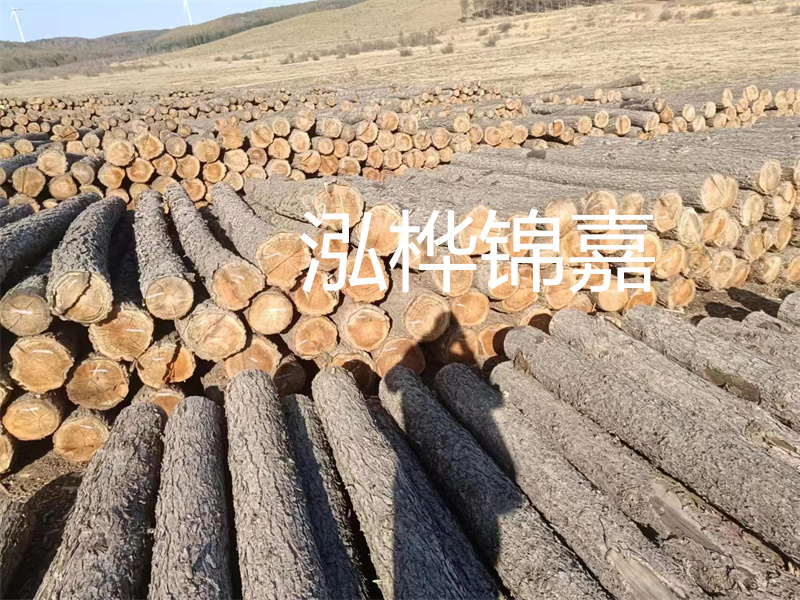 選擇合適的路緣石尺寸，打造美麗道路