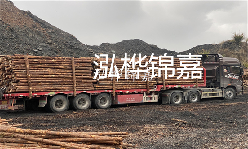 大理松木樁哪里賣？選擇合適的松木樁來保護(hù)你的建筑