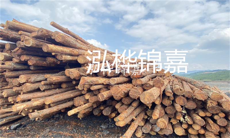 濮陽松木樁，卓越品質(zhì)，安全可靠