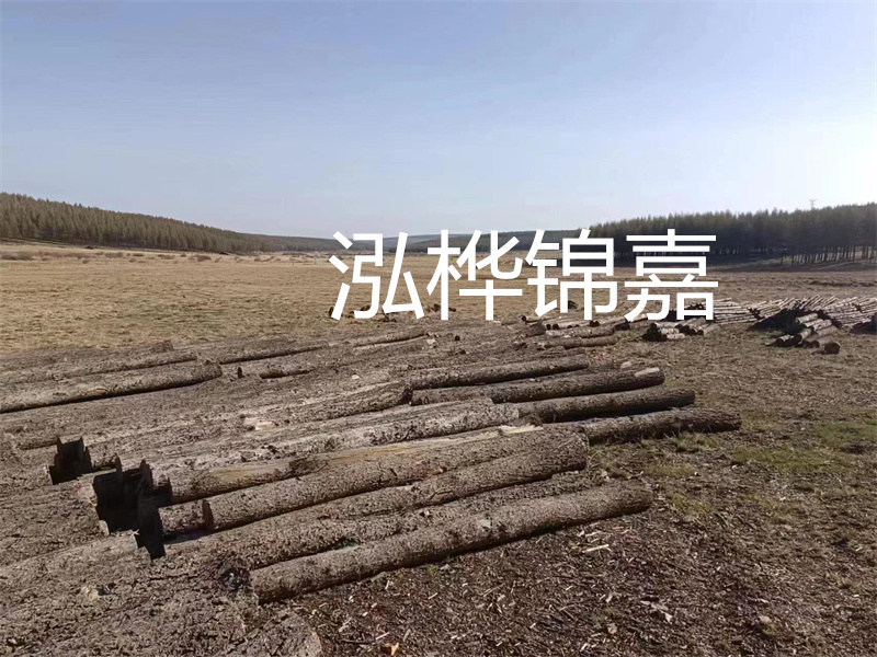 鄂州松木樁哪里好？推薦泓樺錦嘉松木樁業(yè)！