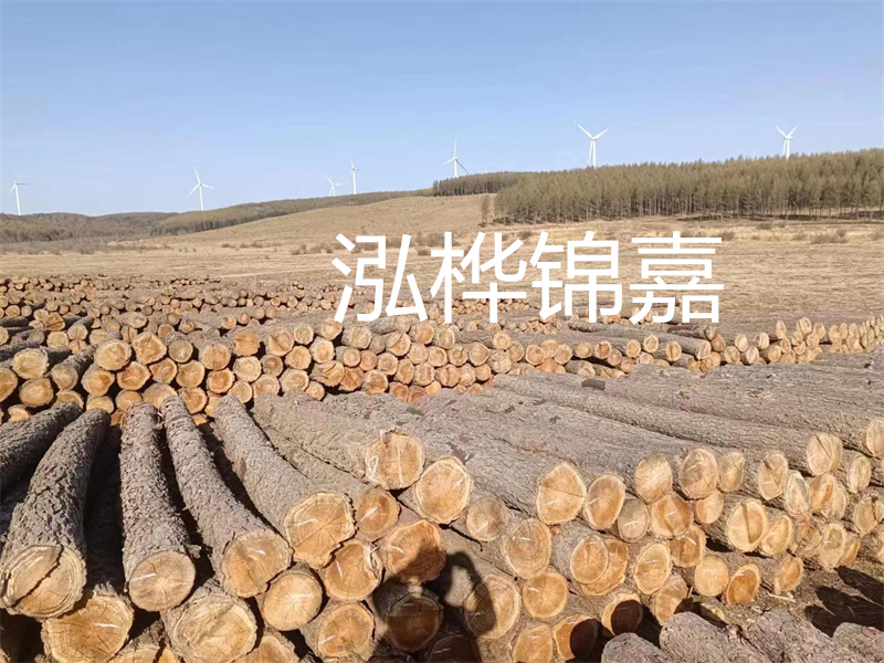 濟(jì)南哪里賣松木木樁？